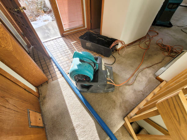 Best 24-hour water damage restoration  in Brentwood, NY