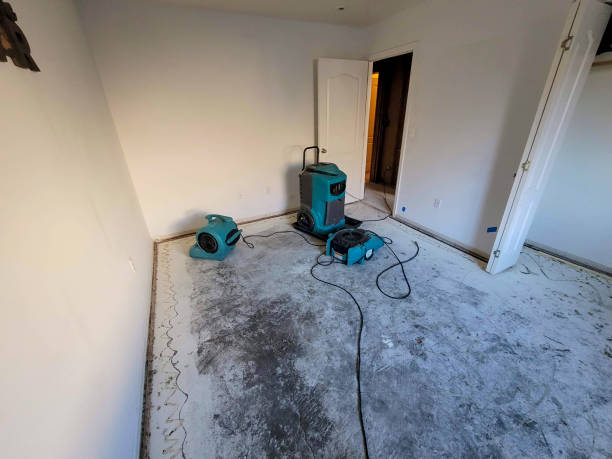 Best Sewage cleanup and water damage restoration  in Brentwood, NY
