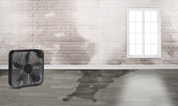Best Residential water damage restoration  in Brentwood, NY