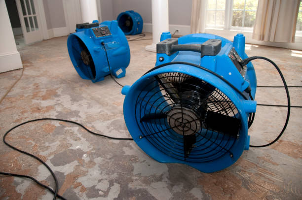 Best Emergency water damage restoration  in Brentwood, NY