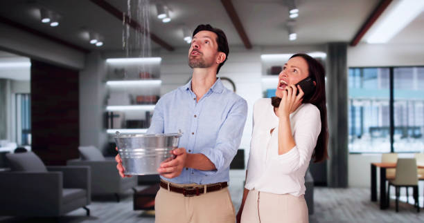 Best Water damage restoration mold remediation  in Brentwood, NY